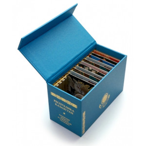 Бокс Альбо Нумисматико для монет Казахстана в специальном исполнении. Арт АВ-21-15-05